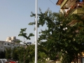 Iluminat stradal cu LED - cartier Gradinari, Iasi 174927