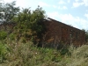 Perieni_4