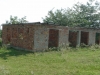 Perieni_5